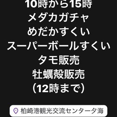 メダカガチャ　めだか掬い　スーパーボール掬い　タモ販売　牡蠣殻販売