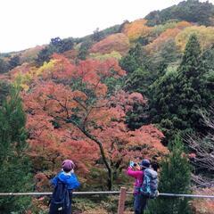 山歩(さんぽ)の会