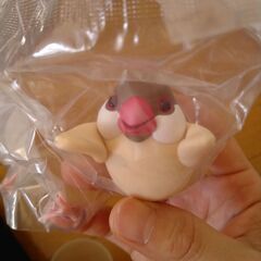 ブンチョーちゃんメモホルダー　シナモン文鳥