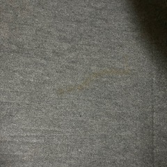 　決まりましたホカホカカーペットの画像