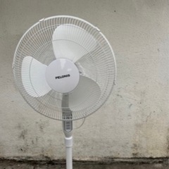 PELONIS空調機扇風機せんぷうき縦型首振り🍉プロフ必読