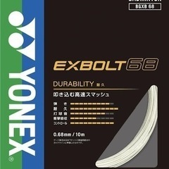 【ガット代+工賃】エクスボルト68