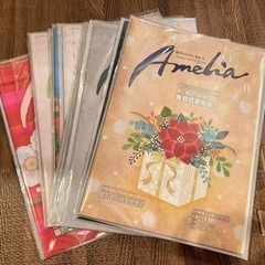 翻訳情報誌アメリアAmelia　バックナンバー