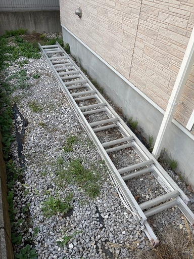 2連梯子 CX-70DE-G