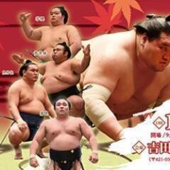 大相撲遠州吉田場所　アリーナイスS席　2枚セット