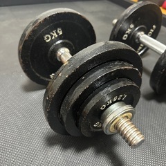 可変式ダンベル、スクリュータイプの画像