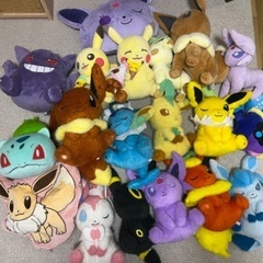 ポケモンぬいぐるみ