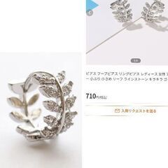リーフラインストーンシルバーピアス（新品）の画像