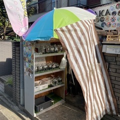 改良メダカ販売

