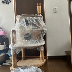 キャットタワー