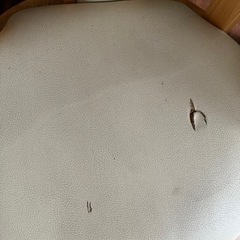 家具 椅子 ダイニングチェアの画像