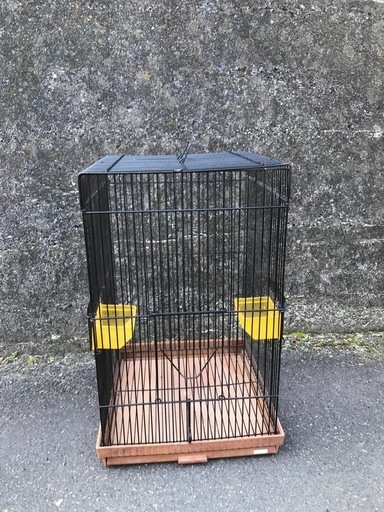 鳥かご　大