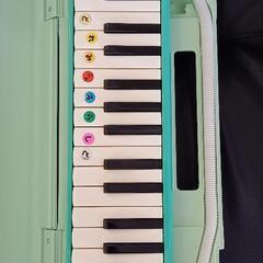 メロディオンの画像