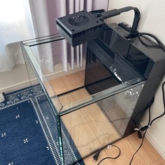 MAX NANO レッドシー　ホワイト60Hzの画像