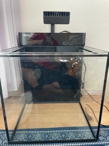 MAX NANO レッドシー　ホワイト60Hz