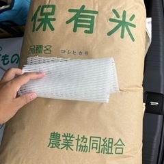 腕時計氣志團ゆっきtears of swan