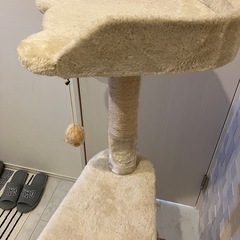 キャットタワー
の画像