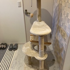 キャットタワー
の画像