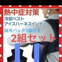 熱中症対策　冷却ベスト　クールベスト　保冷剤付き　２個セット