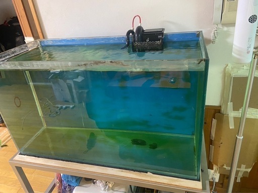 90センチガラス水槽