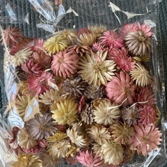 ドライフラワー　15gの画像