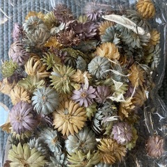 ドライフラワー　15gの画像