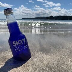 【8/18】SUP&ﾊﾞｰﾍﾞｷｭｰの同行者を募集したいです🏄🍖
