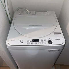 洗濯機（少人数世帯向け5.5kg）