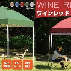 【新品未使用】タープテント 2m×2m Hill Stone o...