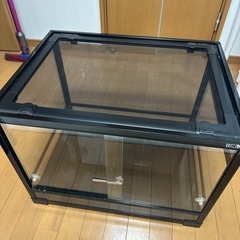パンテオン　6045 ブラック