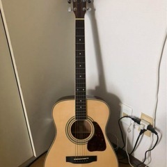 アコギ アコースティックギター S.yairi yfｰ3M/N
