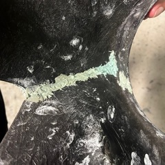 バイク　ビキニカウル　180π 　補修用の画像