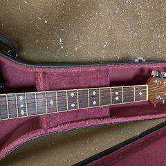 OVATION Celebrity （エレアコ）の画像