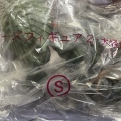 未開封　シークレット特撮シリーズフィギュア２大怪獣ガメラ　ミニポスター解説書付きの画像