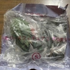 未開封　シークレット特撮シリーズフィギュア２大怪獣ガメラ　ミニポスター解説書付きの画像