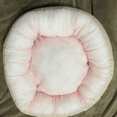 ペット用品　used 超美品　円形サマーベッド　catty ma...