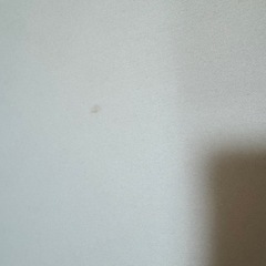 トゥルースリーパー  セミダブルの画像