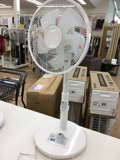 ★ジモティ割あり★ フィフティ 扇風機   19年製 動作確認／クリーニング済み SJ6616