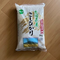 コシヒカリ お米 5キロ