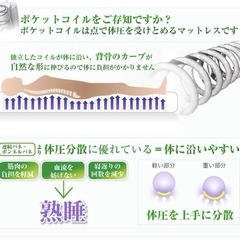 シャビーシック アンティーク風 猫脚ベッドマットレス付きセミダブル白ホワイト姫系の画像