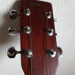 アコギ　ThreeSの画像