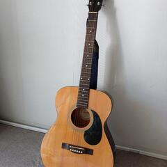 島村楽器 Lumber アコースティックギター