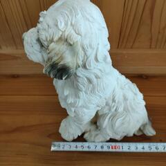 シーズー マルチーズ 犬 置物の画像