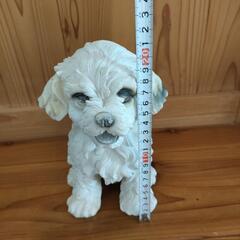 シーズー マルチーズ 犬 置物の画像