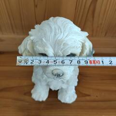 シーズー マルチーズ 犬 置物の画像