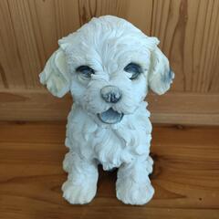 シーズー マルチーズ 犬 置物