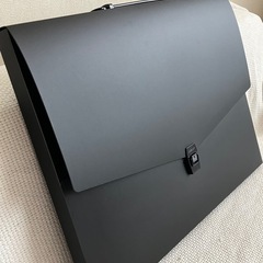 未使用品　セキセイ ドキュメントファイル アルタートケース フラ...