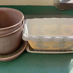 プランターセット