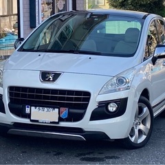 プジョー　国内50台限定車　NAPAPIJRI(ナパピリ)エアコ...
