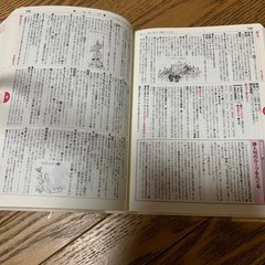 ベネッセ　全訳古語辞典の画像